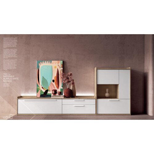 Composición Salón compuesto por mueble TV y vajillero