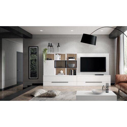 Composición salón con panel y librerías