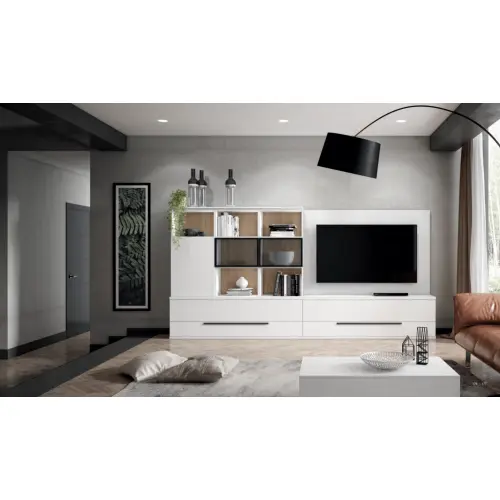 Composición salón con panel y librerías