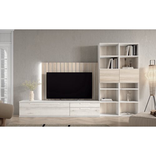 Composición salón con panel y estanterías