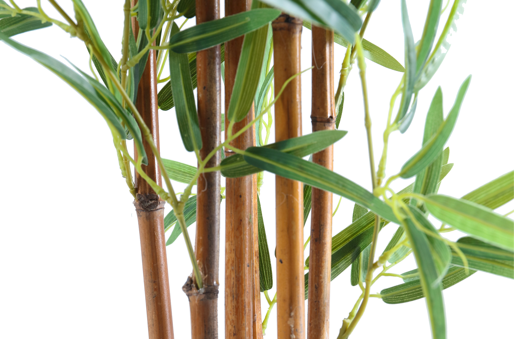 BAMBU ARTIFICIAL 180 CM ALTO. - Imagen 5