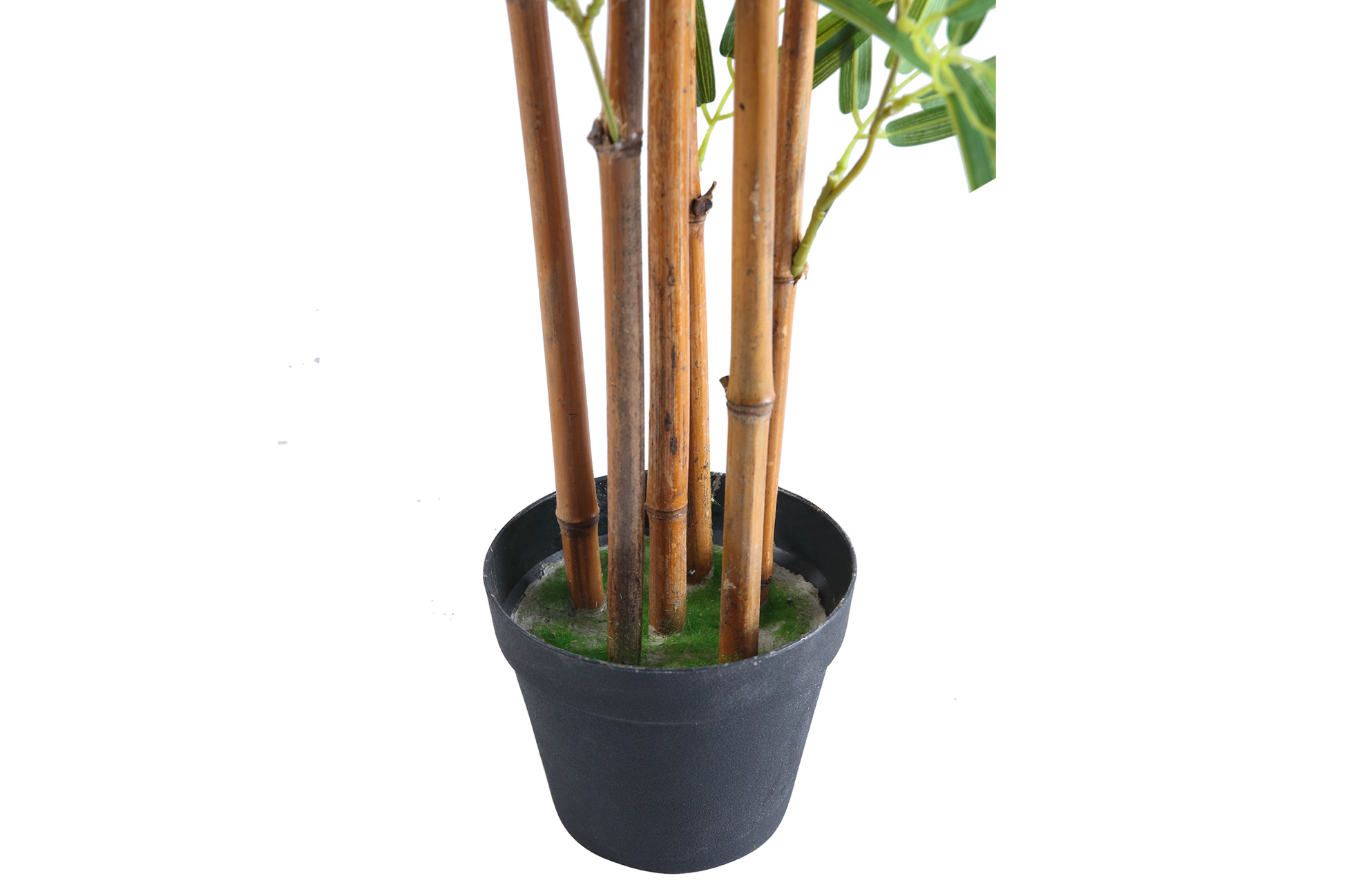 BAMBU ARTIFICIAL 180 CM ALTO. - Imagen 7
