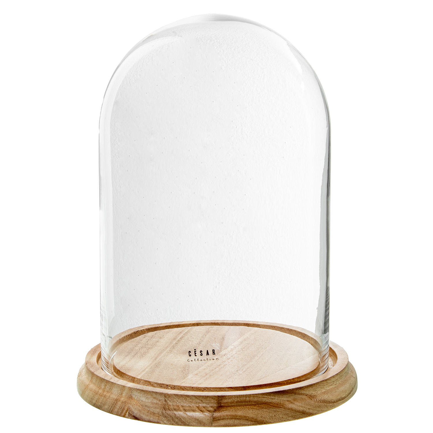 CAMPANA CRISTAL TRANSPARENTE CPIE
