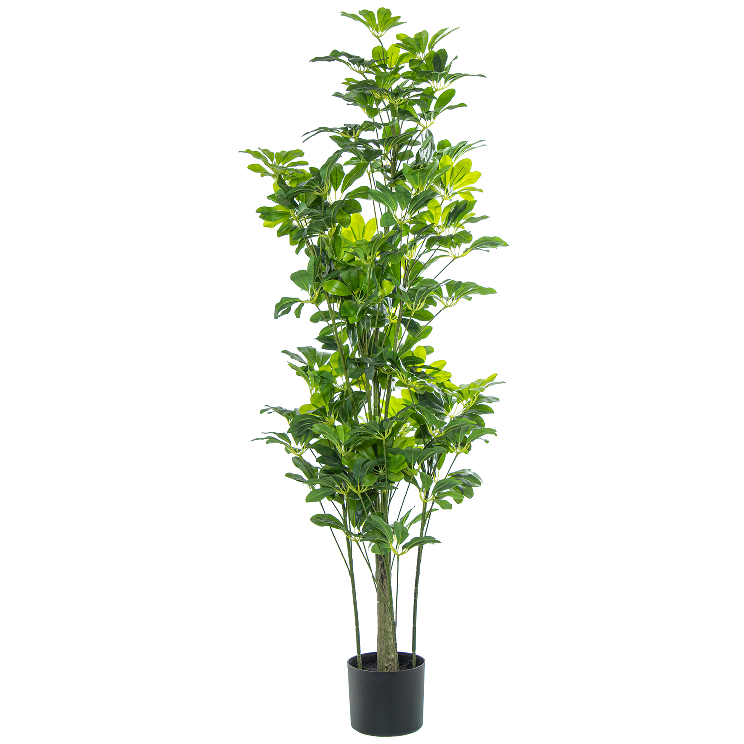 PLANTA ARTIFICIAL SCHEFFLERA 125CM