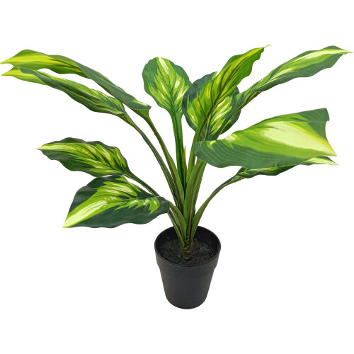 PLANTA ARTIFICIAL AGLAONEMA 50 CM 2 RAMAS 62 HOJAS