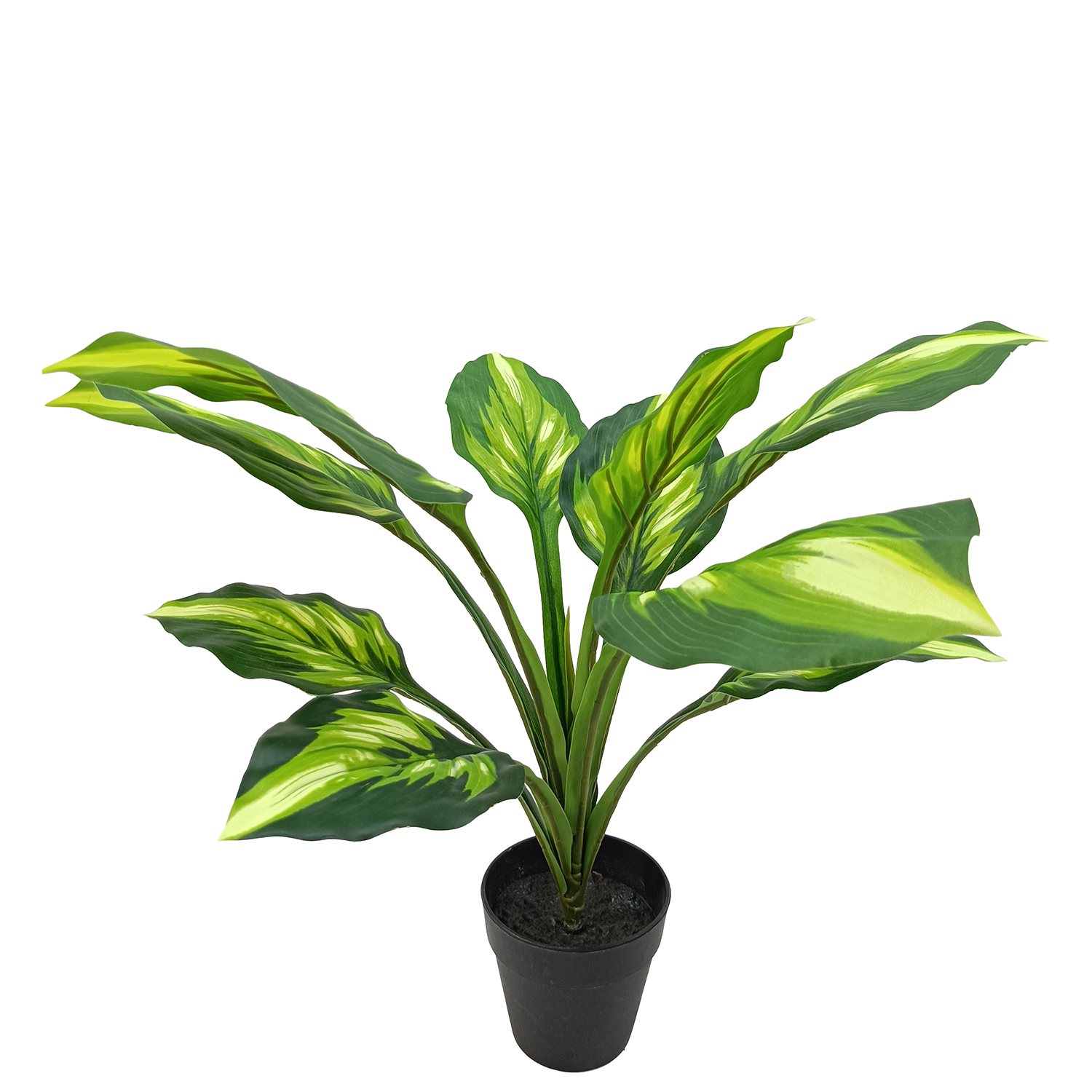 PLANTA ARTIFICIAL AGLAONEMA 50 CM 2 RAMAS 62 HOJAS